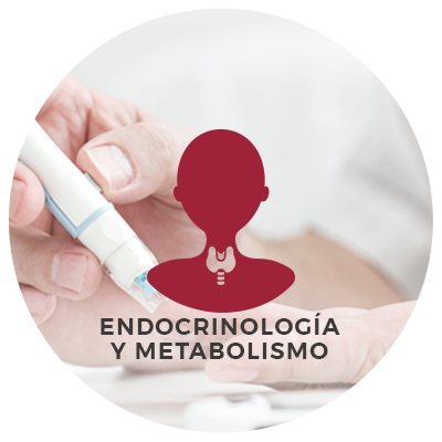 ENDOCRINOLOGIA